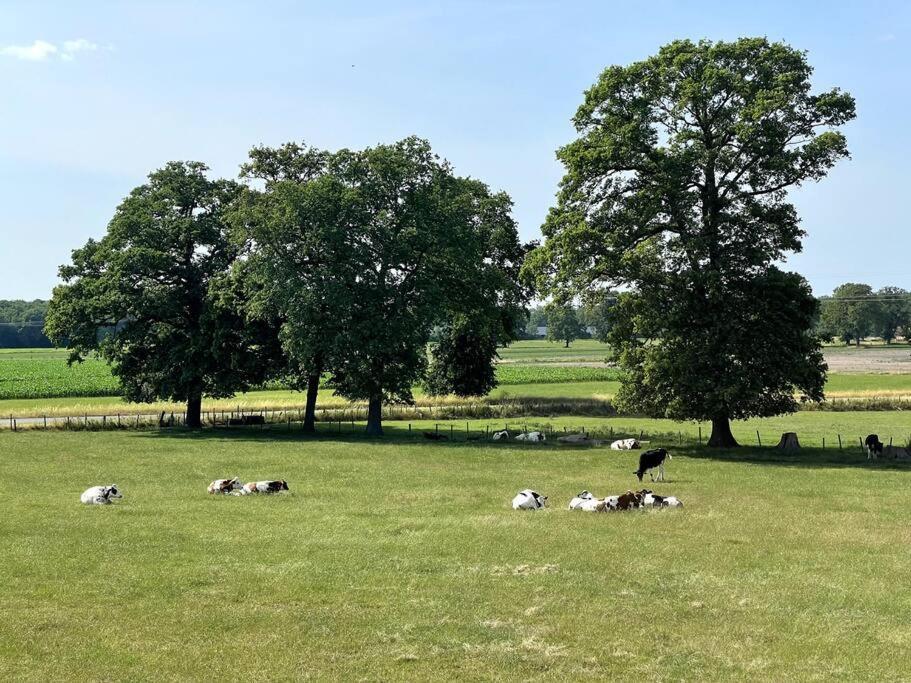 Woonboerderij Markelo Appartement Buitenkant foto