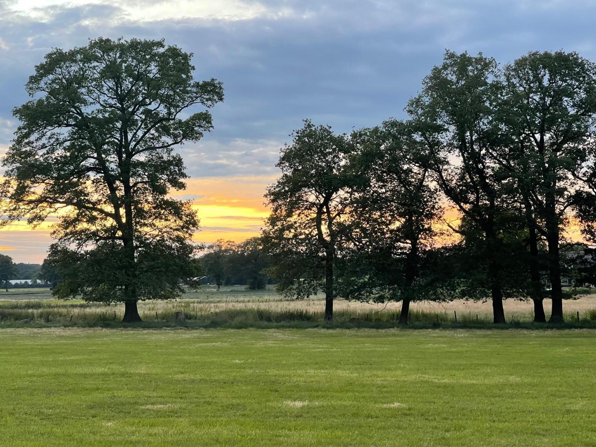 Woonboerderij Markelo Appartement Buitenkant foto